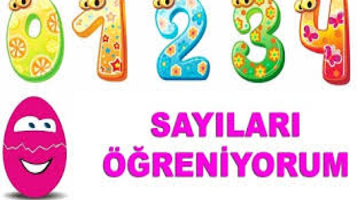 SAYILARI ÖĞRENİYORUM