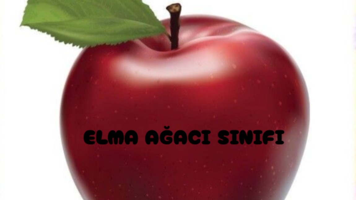 3 YAŞ ELMA AĞACI SINIFI OKULUMUZUN MİNİKLERİ NELER YAPMIŞ