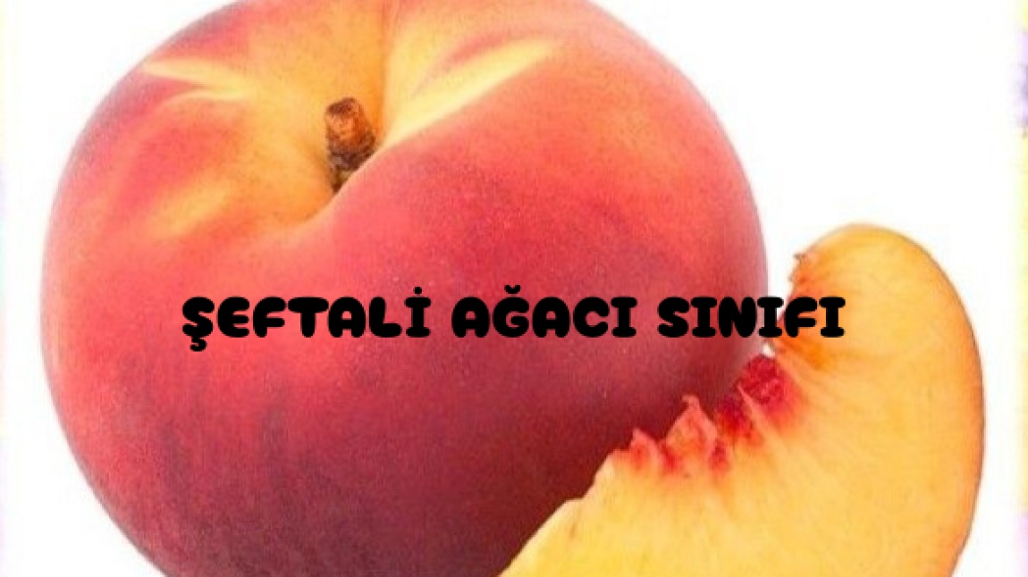 5 YAŞ ŞEFTALİ AĞACI SINIFINDA ÇOCUK KULÜBÜ ETKİNLİKLERİ